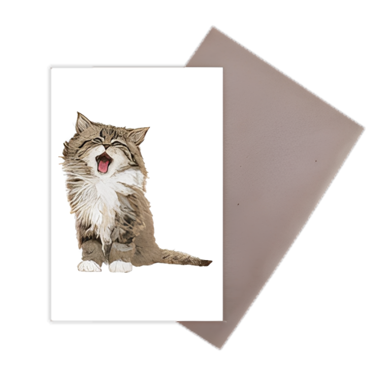 307_20201123112259_127052-300x300(1)